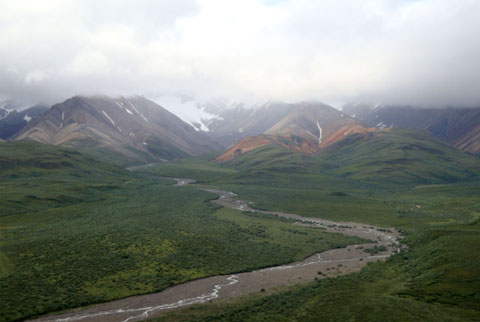 Bild21: Polychrome-Pass im Denali NP