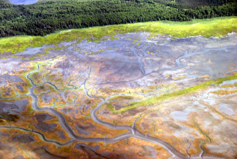 Bild65: Ebbe im Cook Inlet von Anchorage