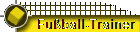 Fuball-Trainer