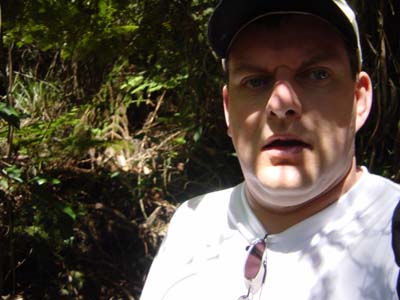 Bild020: Im australischen Regenwald