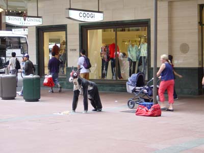 Bild037: Der Esel mit der Glocke