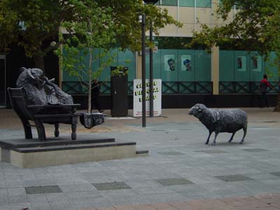 Bild047: Das Schafpaar