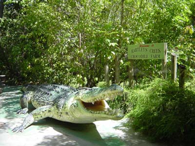 Bild085: Crocodile Farm