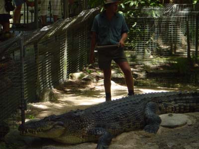 Bild088: Ein Verckter mit der Bestie