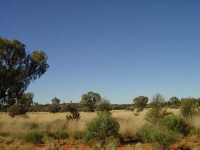 Bild117: Australia Outback