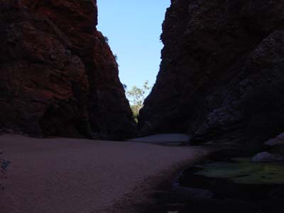 Bild120: Simpsons Cap