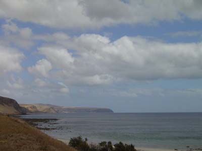 Bild135: Auf dem Weg zum Cape Jervis