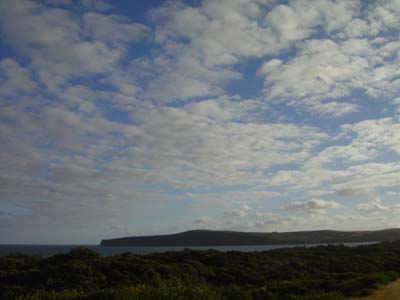 Bild145: Cape Bridgewater