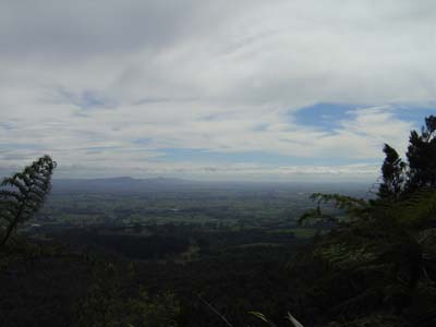 Bild185: Blick vom Kamm der Kaimai Range