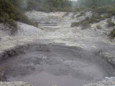 Bild190: Devils Ink Pots (Tintenfa)