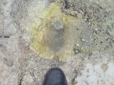 Bild191: Heisse Quelle am Wai-O-Tapu Geisir