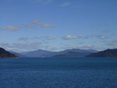 Bild210: Picton am Horizont