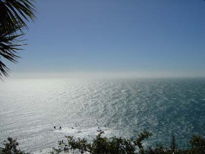 Bild238: Knights Point Lookout