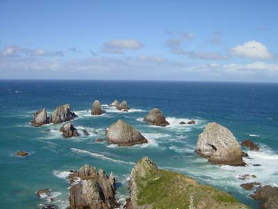 Bild261: Birdlive Project