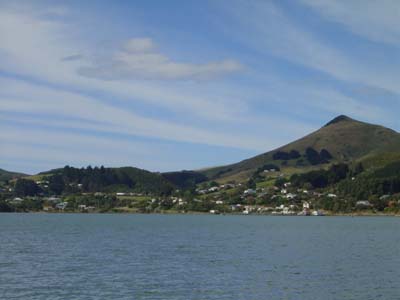 Bild267: Otago Harbour