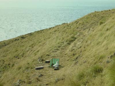 Bild270: Da liegt die fette Brut