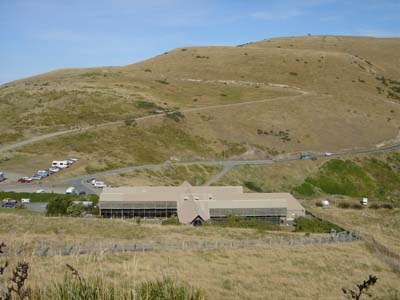 Bild269: Im Brutgehege der Albatrosse