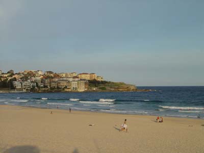 Bild308: Die Surfer am Bondi Beach