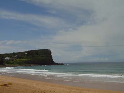 Bild313: Avalon Beach