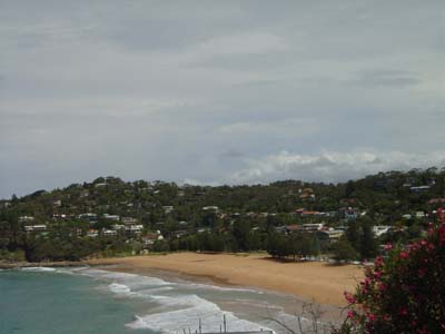 Bild314: Whale Beach