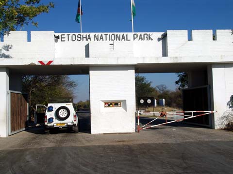 Bild36: Etosha NP