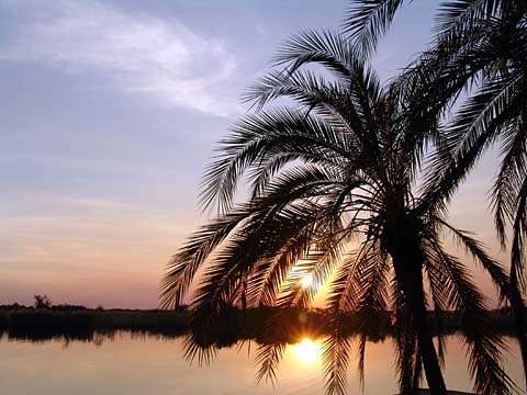 Bild72: Idylle am Chobe River