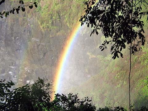 Bild78: Permanente Regenbogen