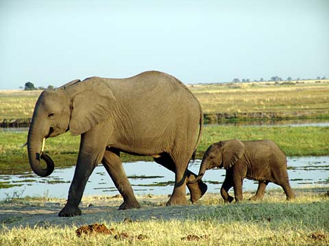 Bild96: Stolze Mutter mit Baby