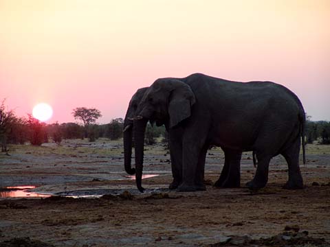 Bild104:  Sundowner mit Darsteller