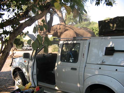 Bild109: The Shaker in action !