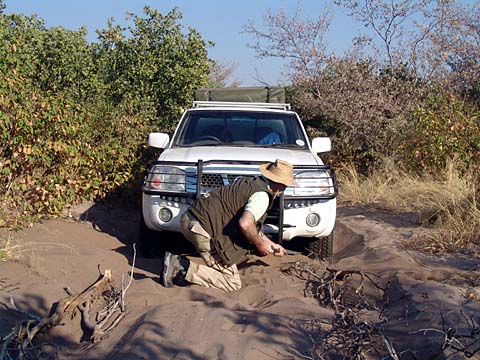 Bild117: Versunken im Sand