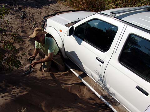 Bild118: Afrikanischer Sandkasten
