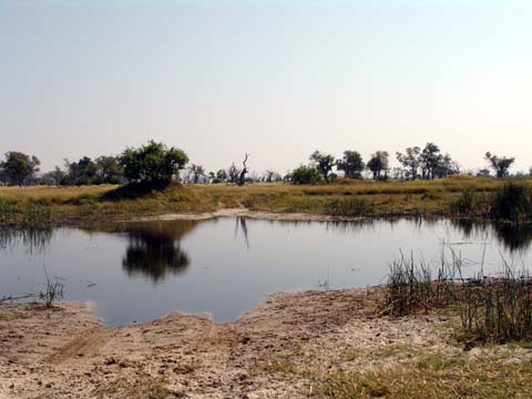 Bild147: Death Tree Island