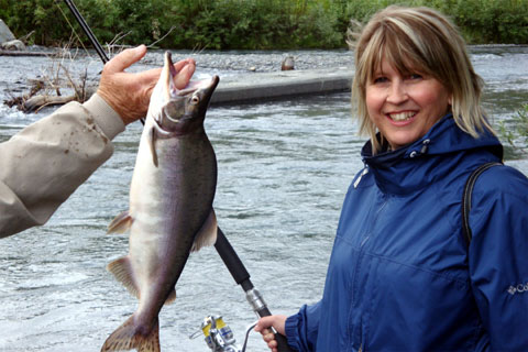 Bild63: Pink Salmon im Ingram Creek