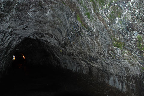 Bild29: Lava Tube - Volcano NP